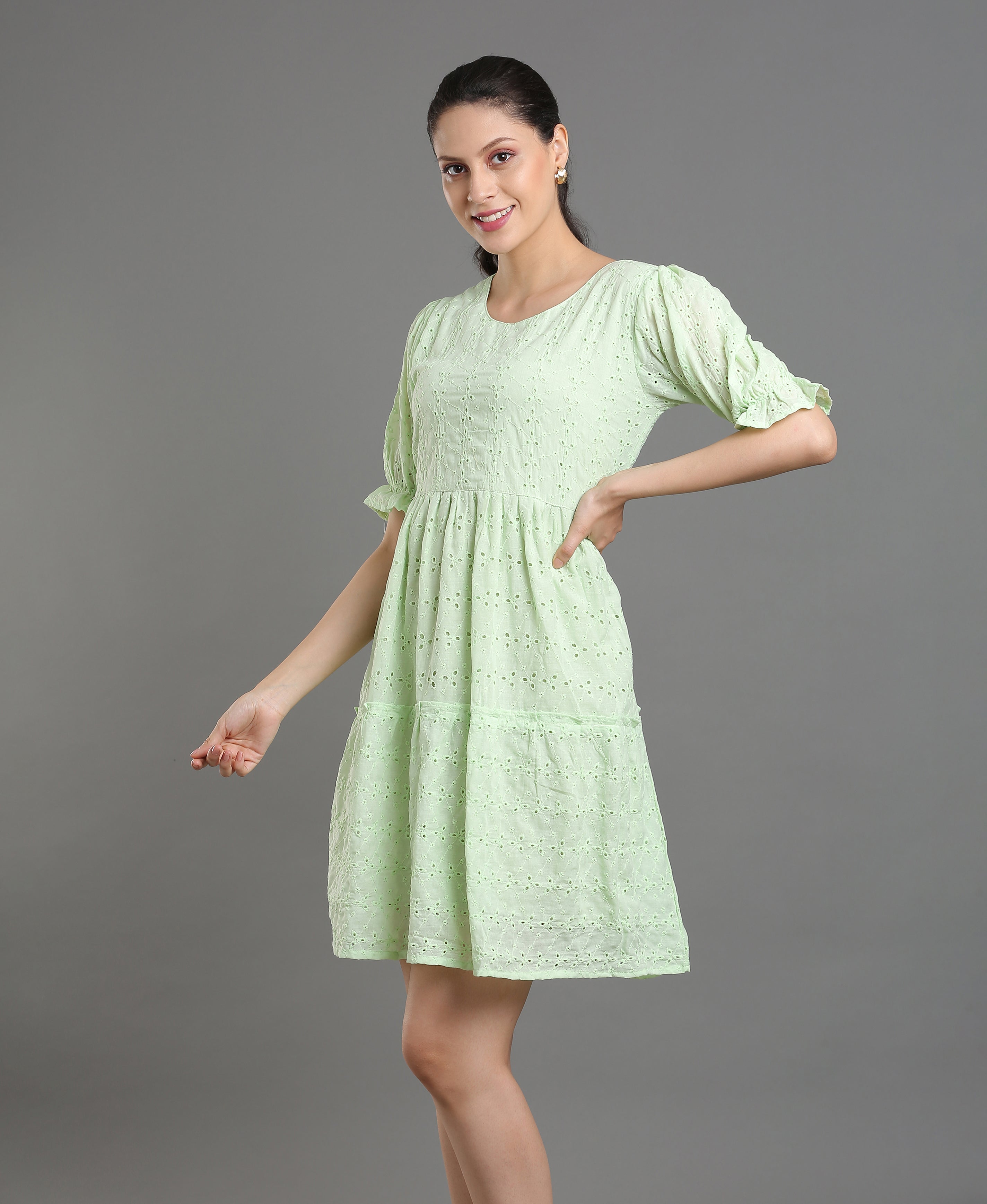 Pista Chiffli Embroidered Flare Dress