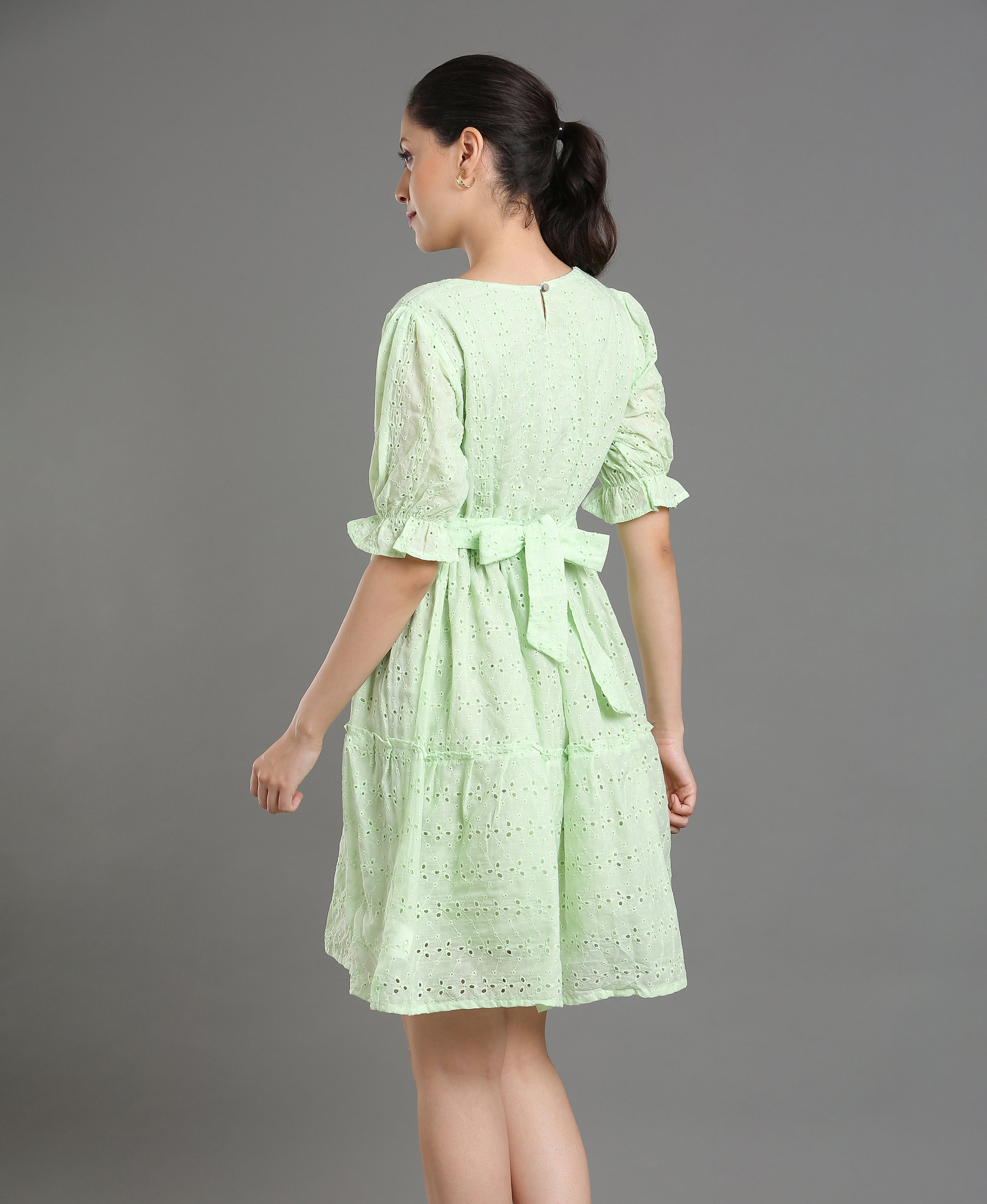 Pista Chiffli Embroidered Flare Dress