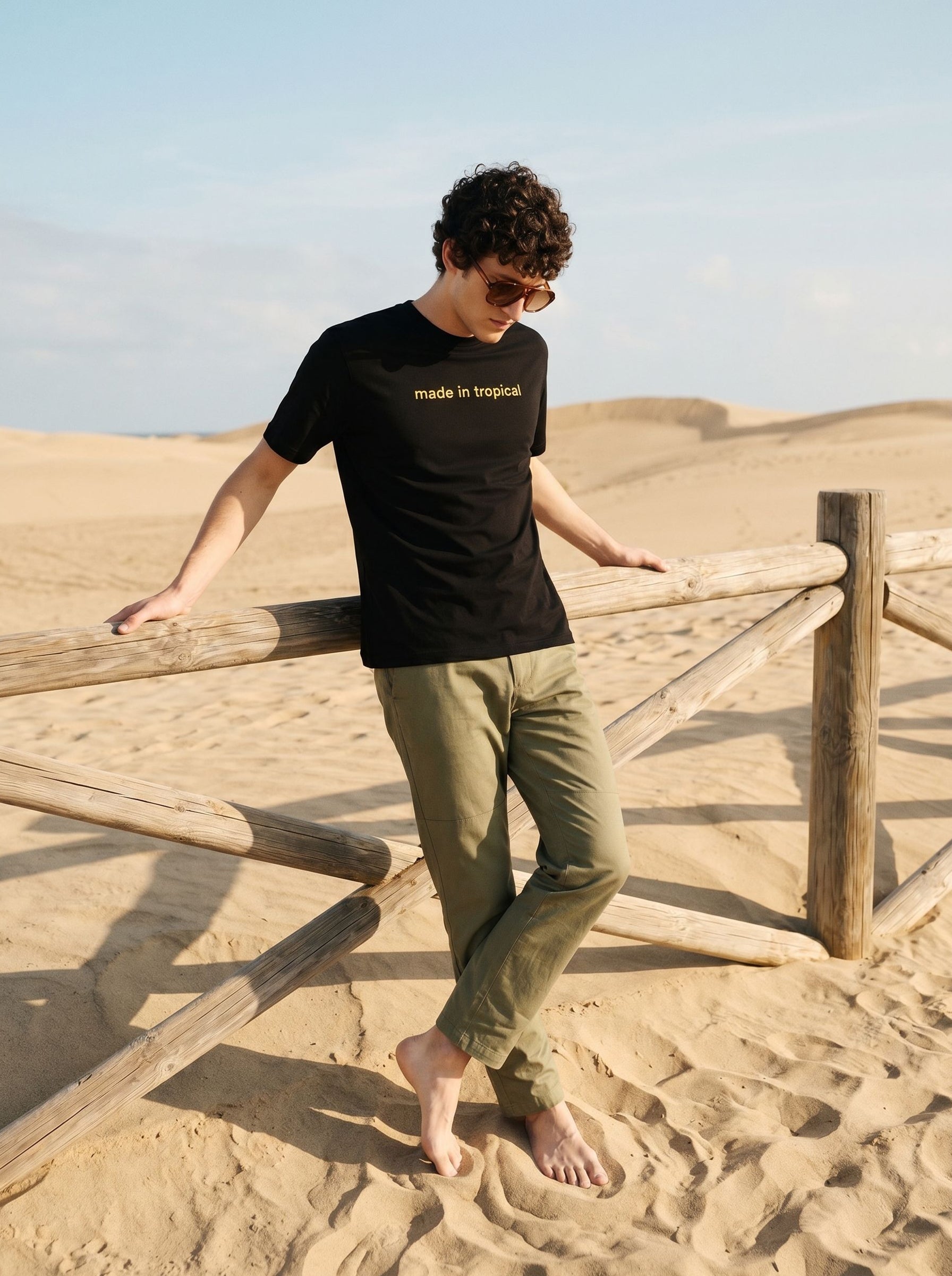 Men's Cotton Black Regular Fit Round Neck T Shirt