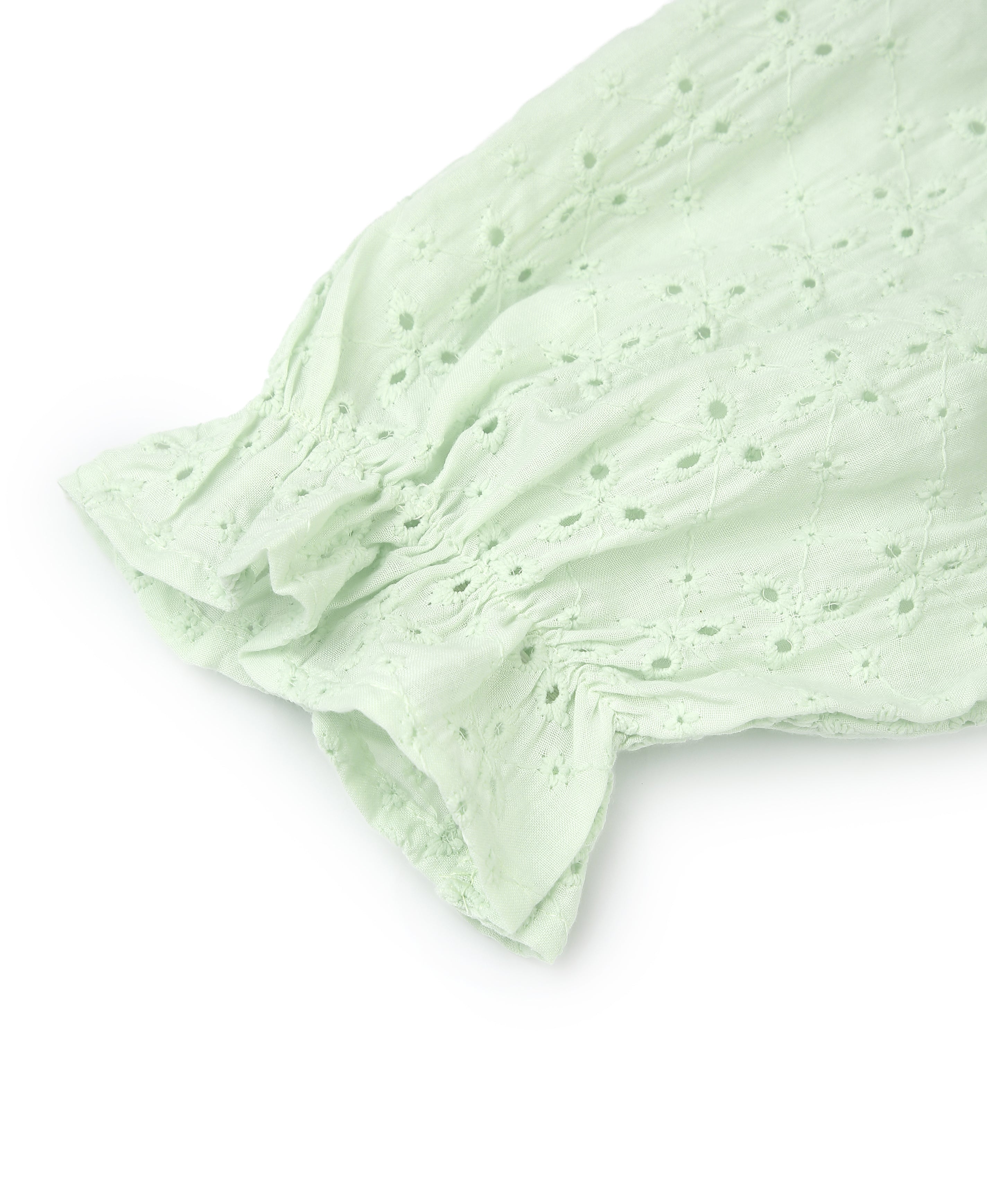Pista Chiffli Embroidered Flare Dress