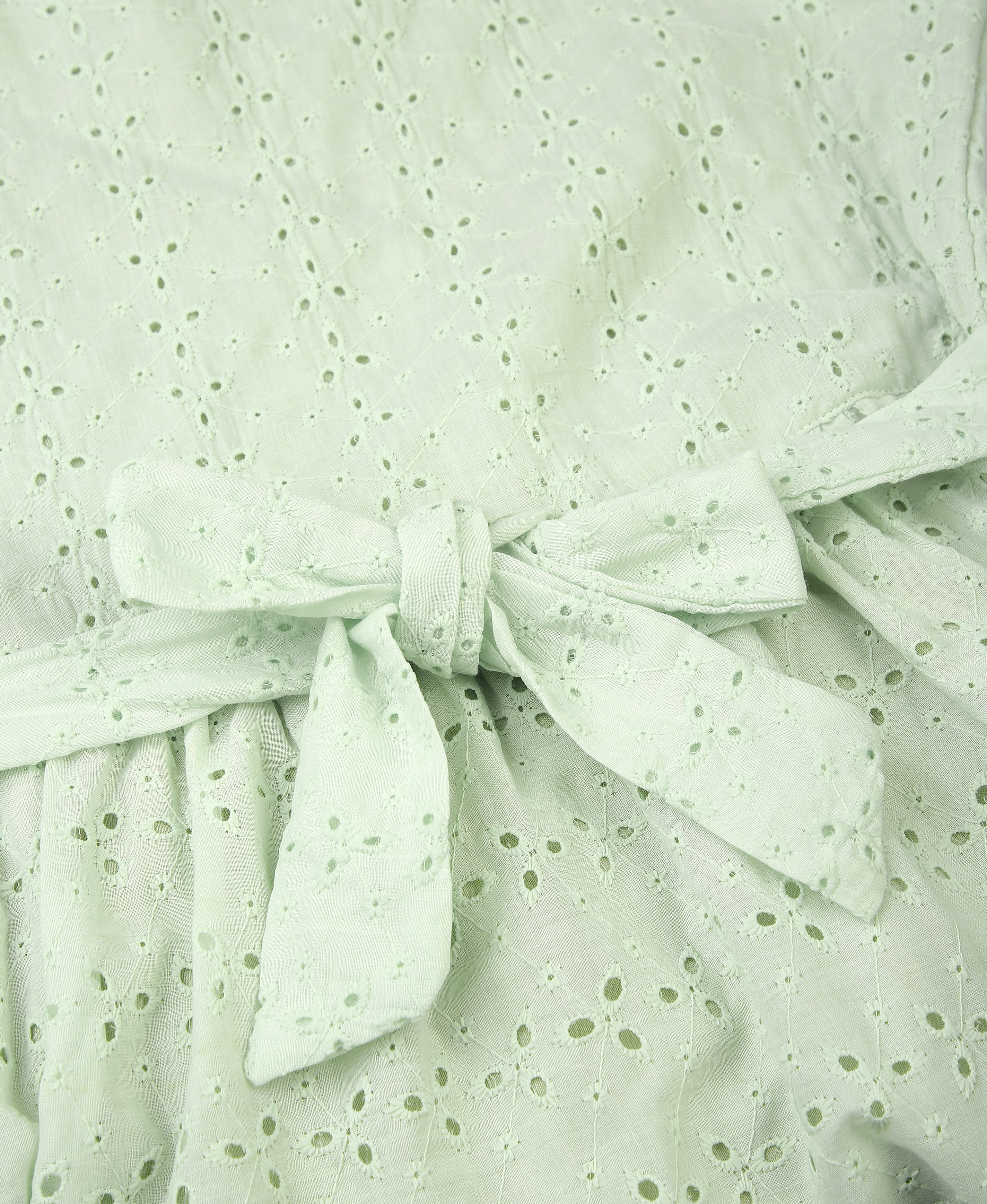 Pista Chiffli Embroidered Flare Dress