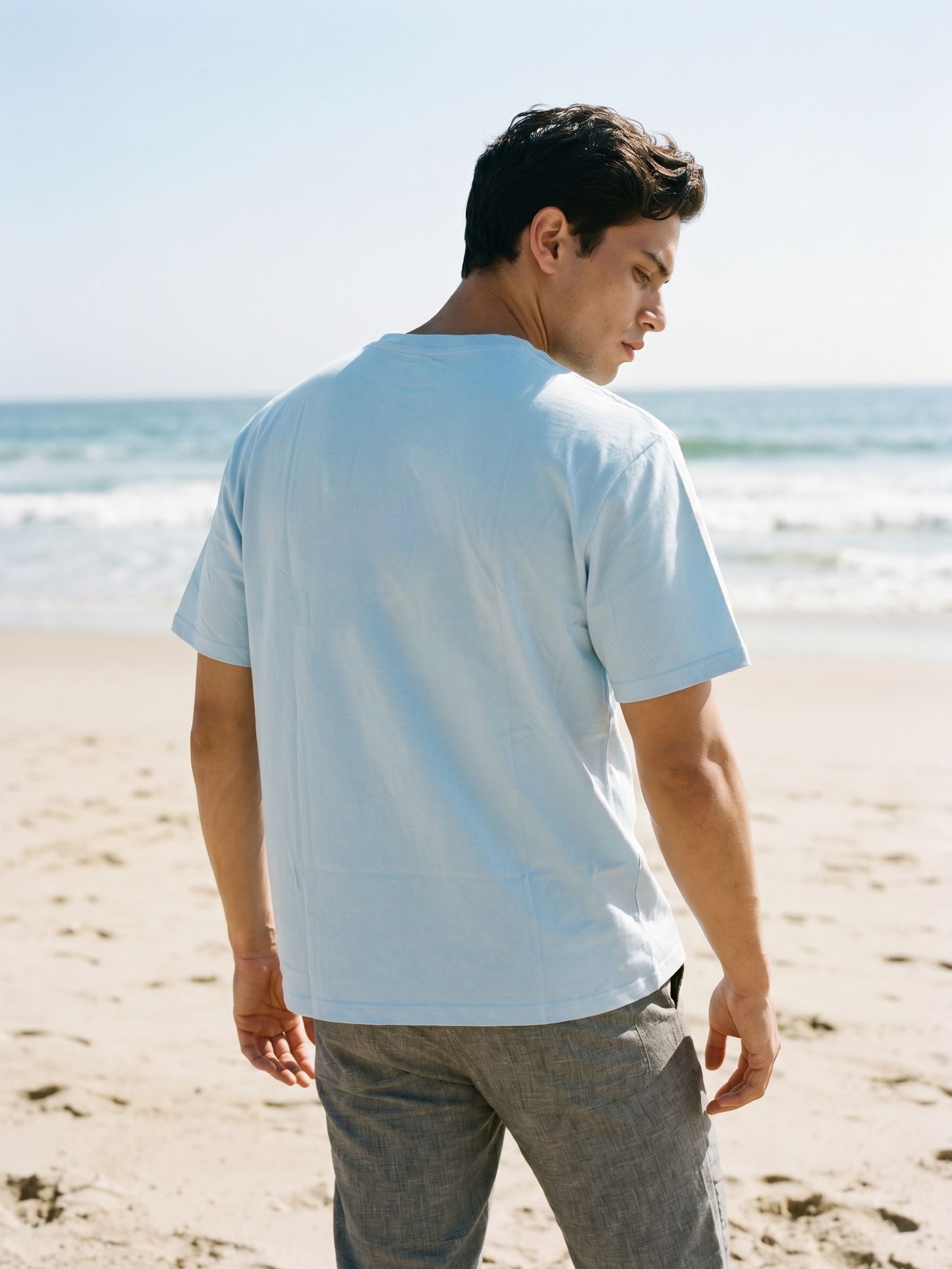 Men's Cotton Light Blue Regular Fit Round Neck T Shirt